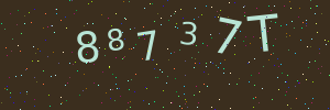 Validation image